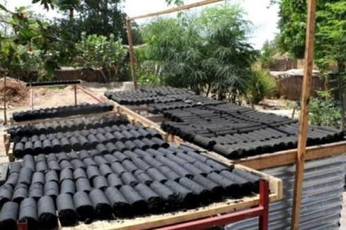 Charcoal Briquettes - 5kg